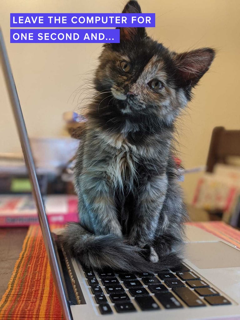 lunaandlaptop