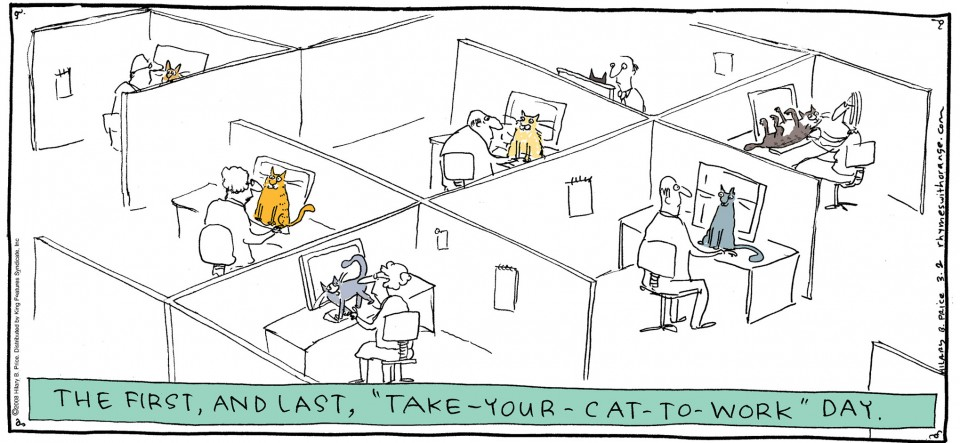 The first, and last, "take-your-cat-to-work" day