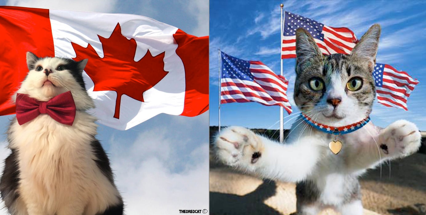 patritoiccats